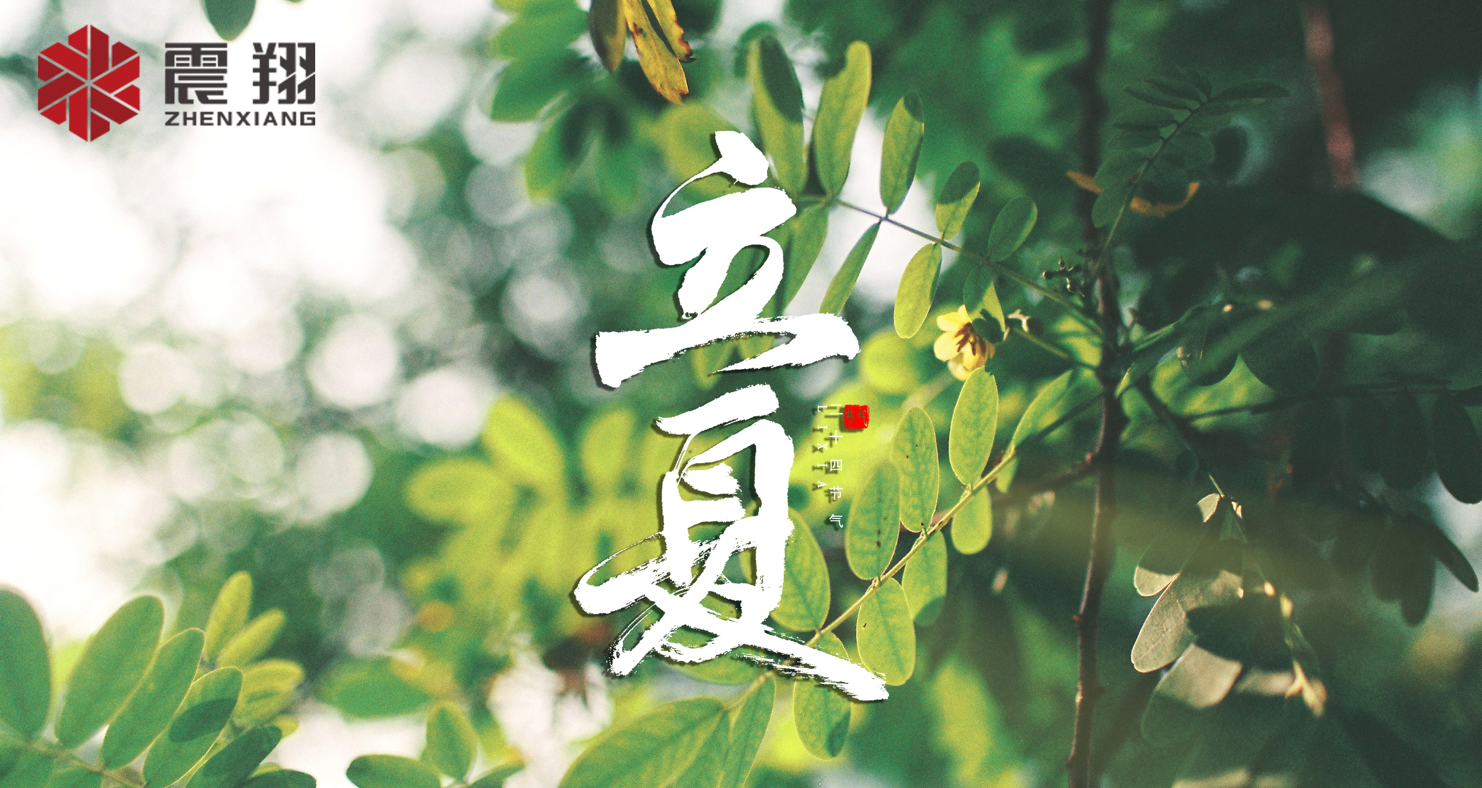 【立夏】春去春来不曾留意,夏日当归,扑面而来