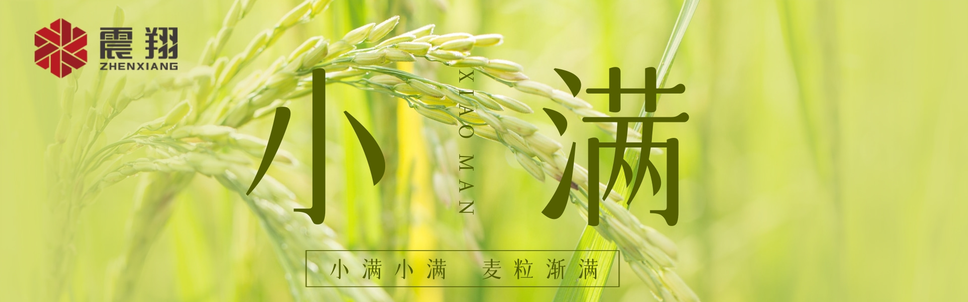 小满|小满小满,江河渐满。