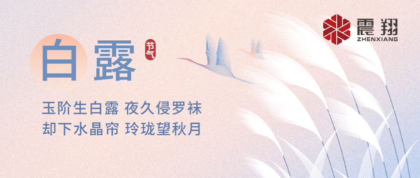 白露|露已凝,夜微凉